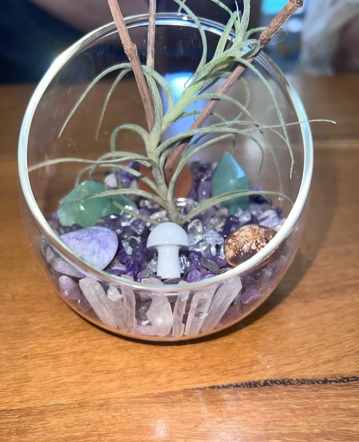 air plant terrarium with crystals Crystal terrarium workshop – Crystal Vibes And Energy