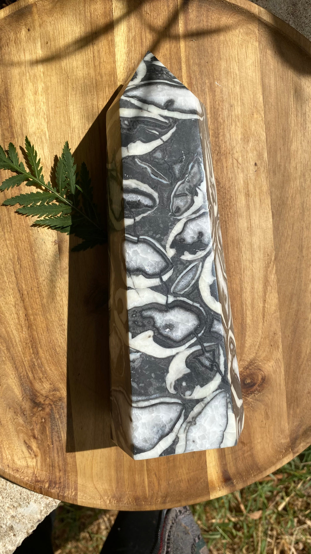Thousand eye Jasper