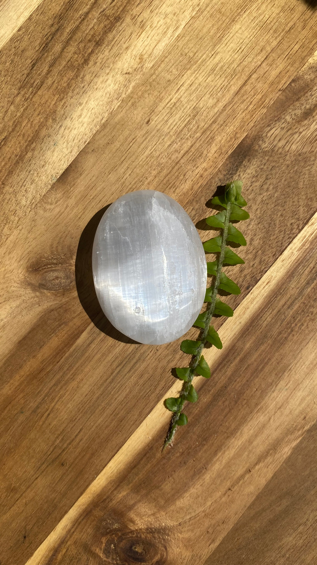 Selenite Palm