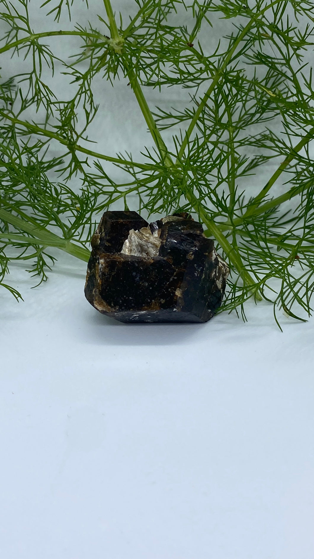Dravite