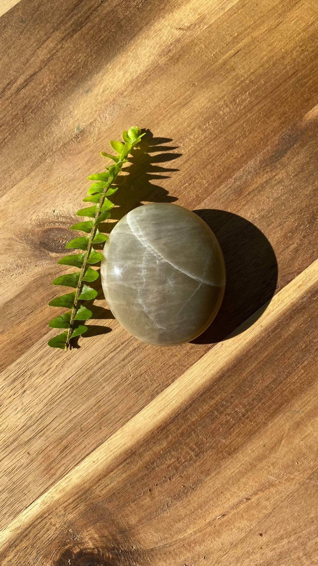 Green moonstone palm