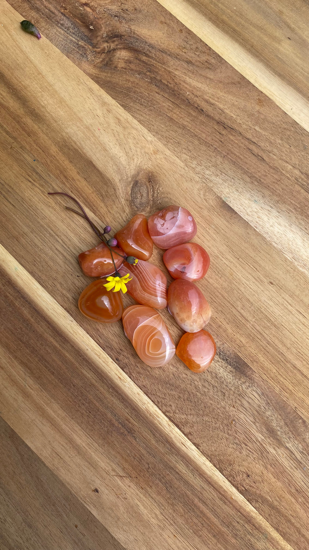 Apricot Agate