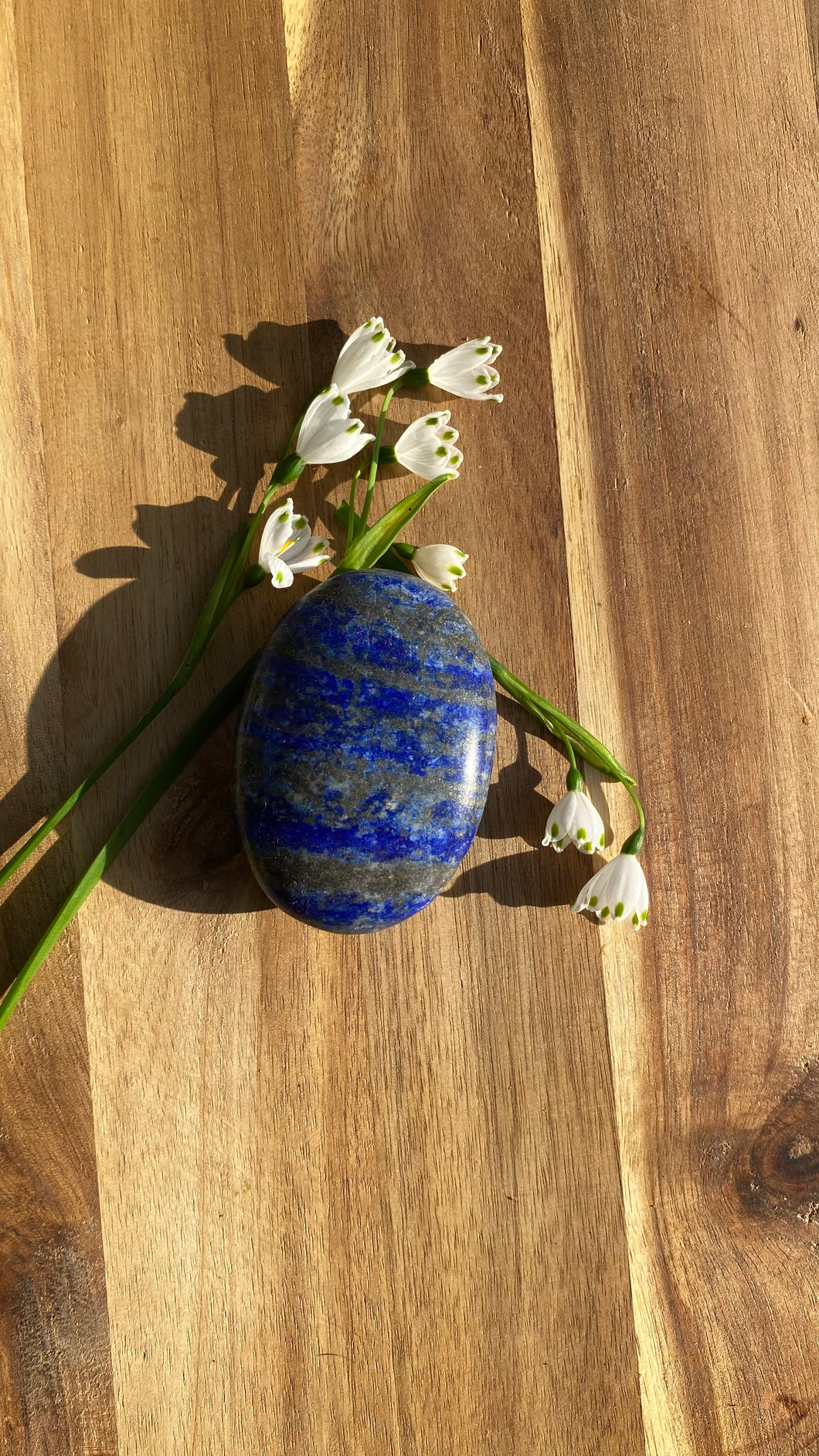 Lapis Lazuli Palm