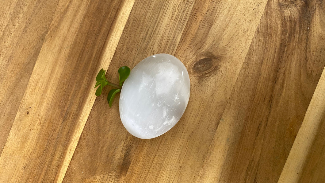 Selenite Palm