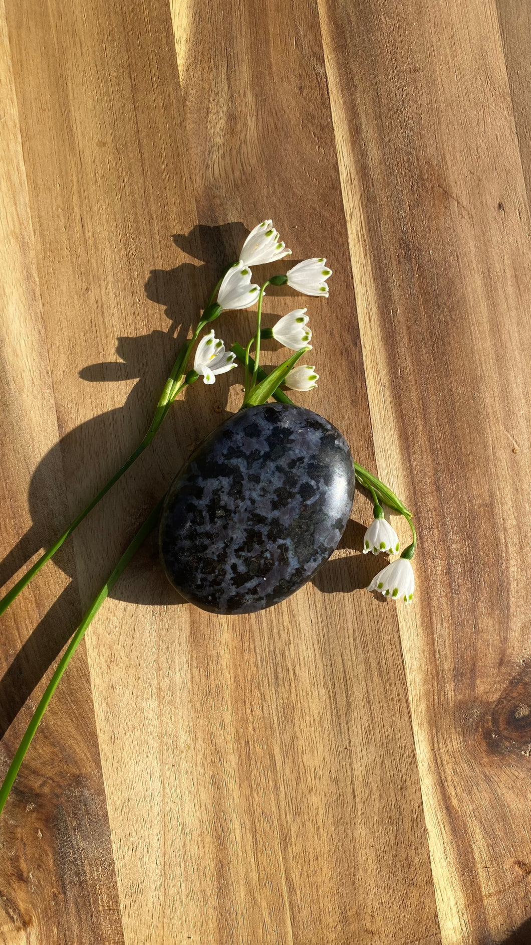 Gabbro Palm stone