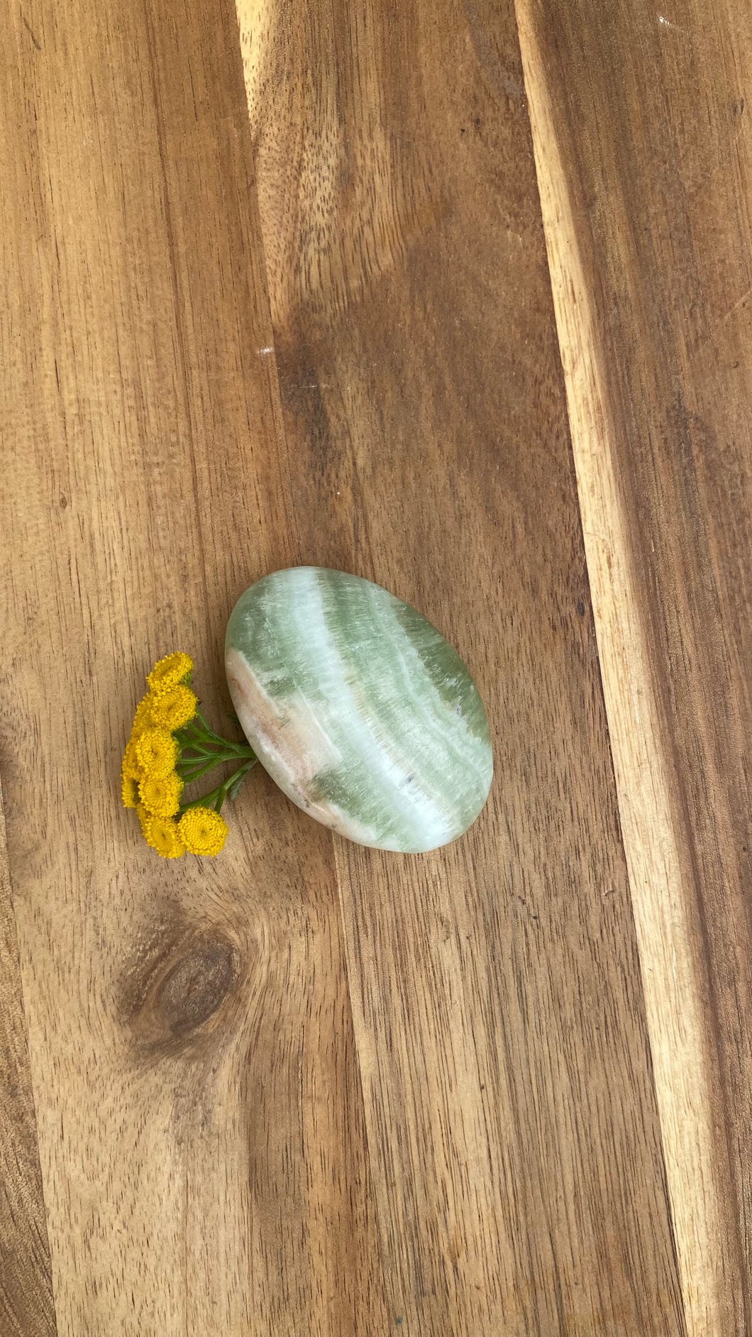 Banded Pistachio Calcite Palm
