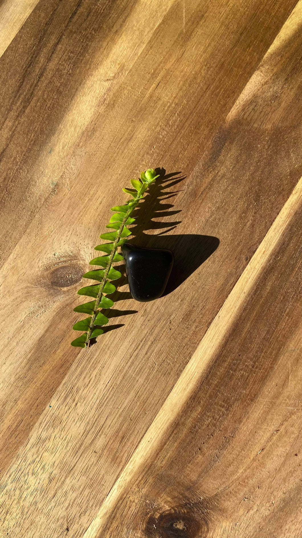 Shungite