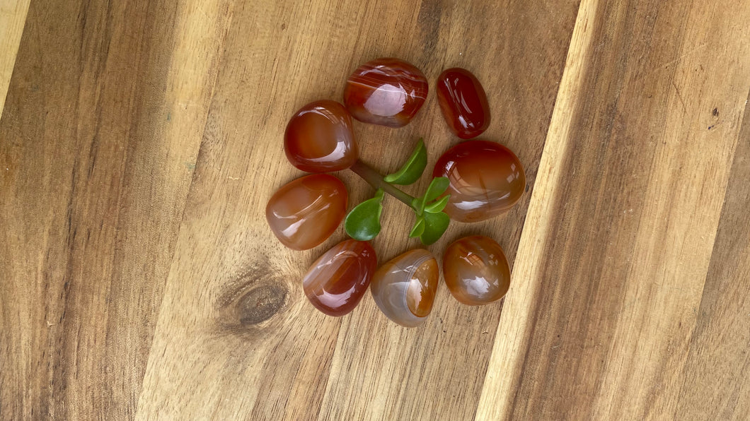Carnelian tumbles