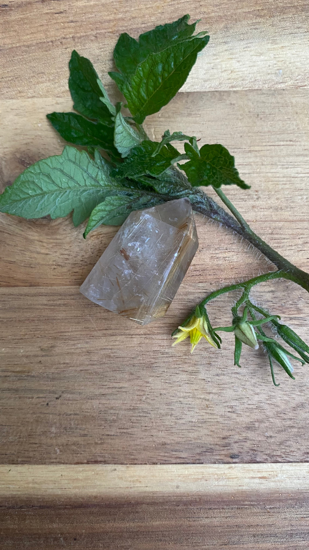 Rutile Quartz