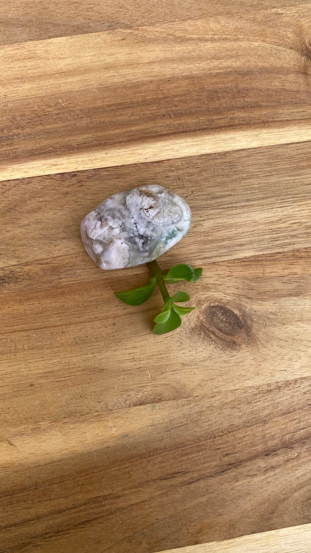 Green cherry blossom