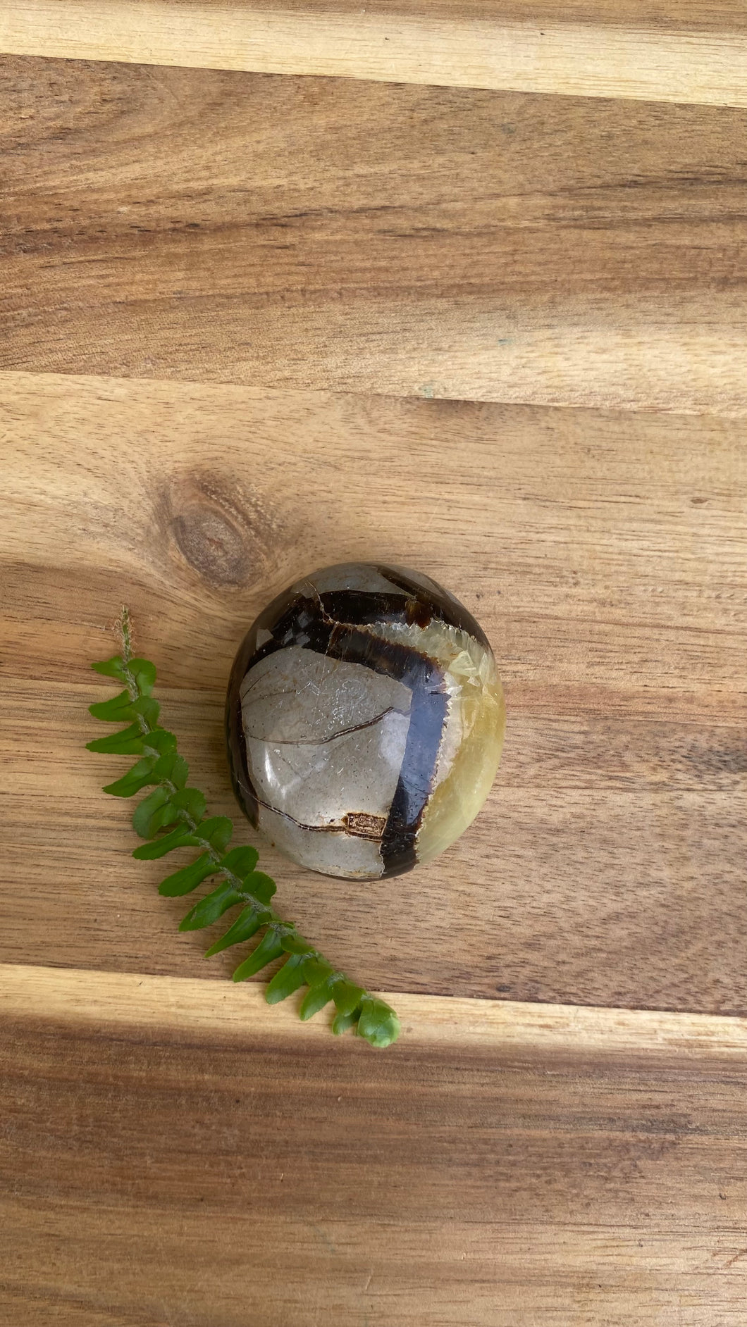 Septarian Stone