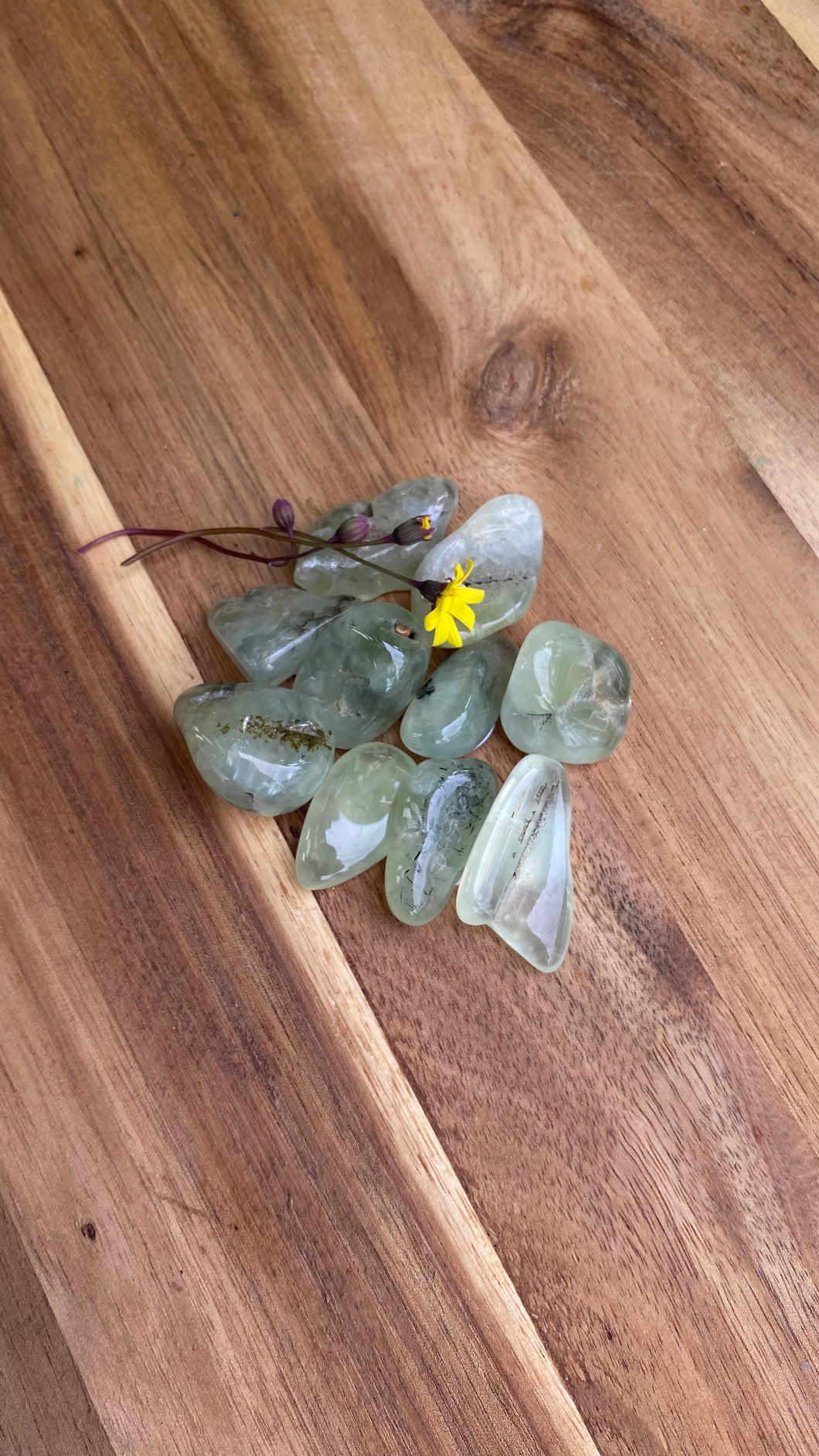 Epidot in Prehnite