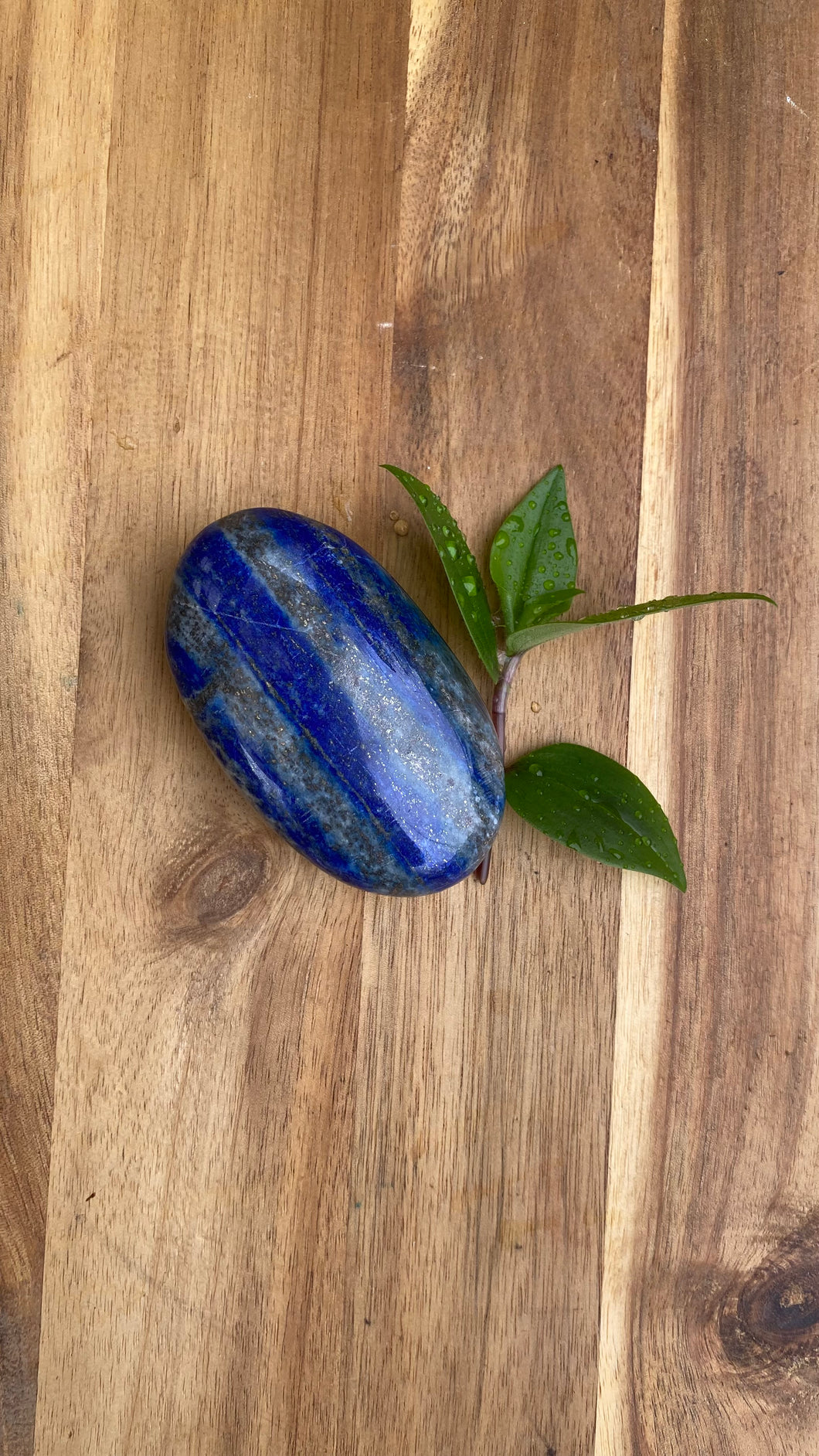 Lapis Lazuli Palm