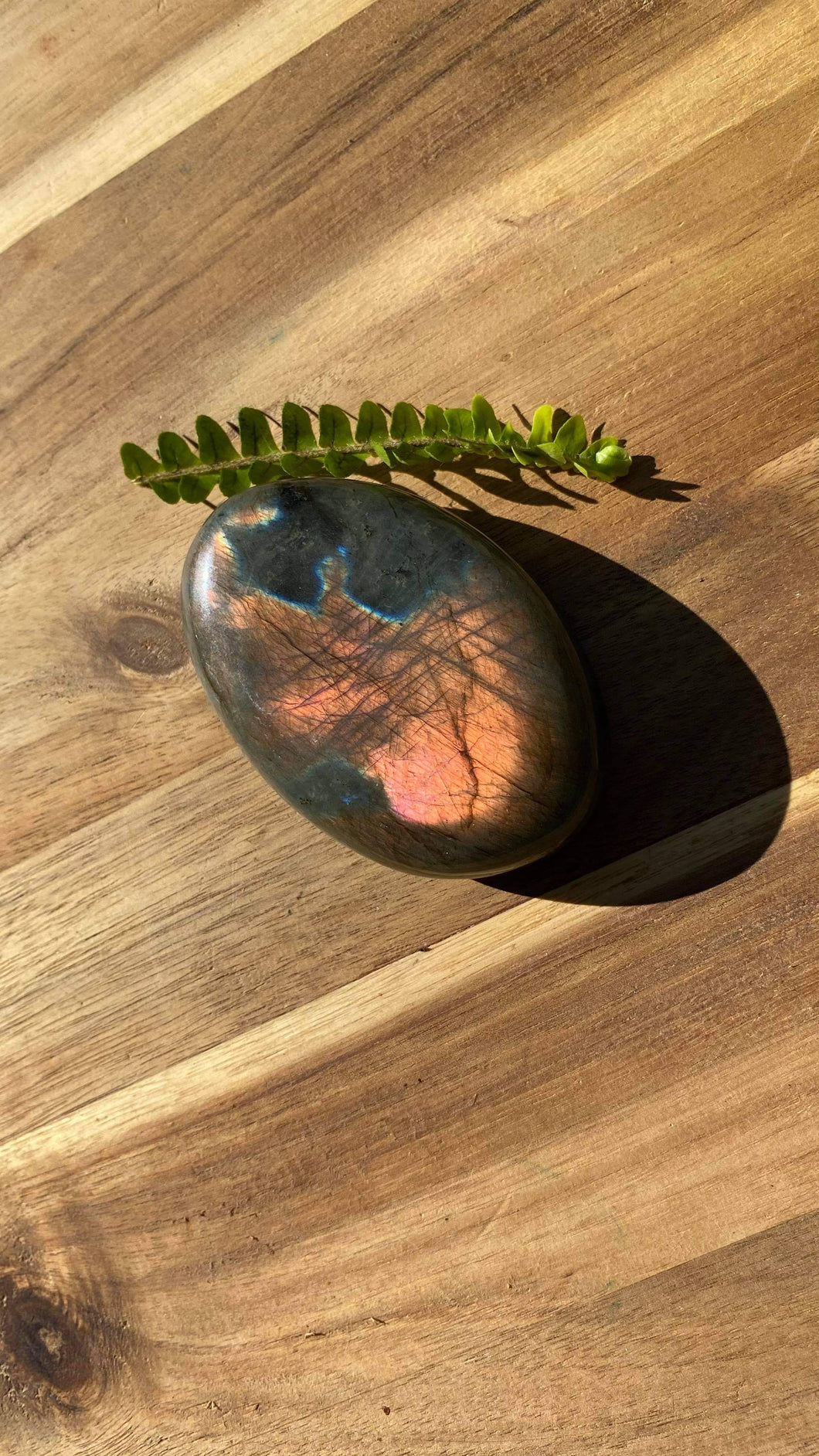 Labradorite Palm