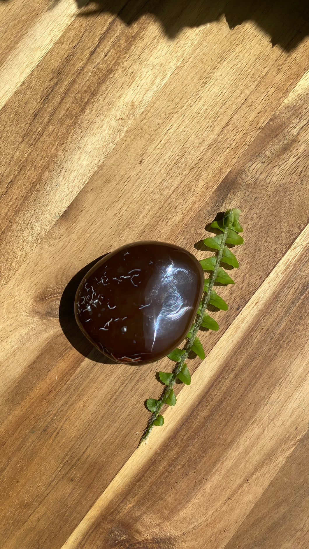 Carnelian Palm