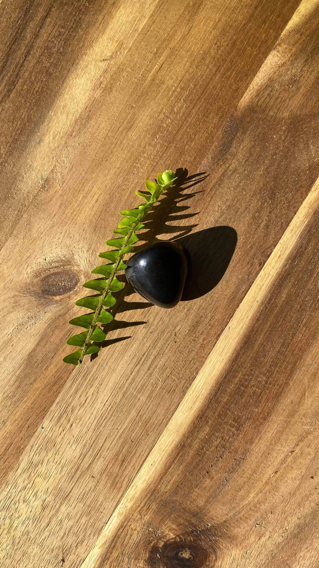 Shungite