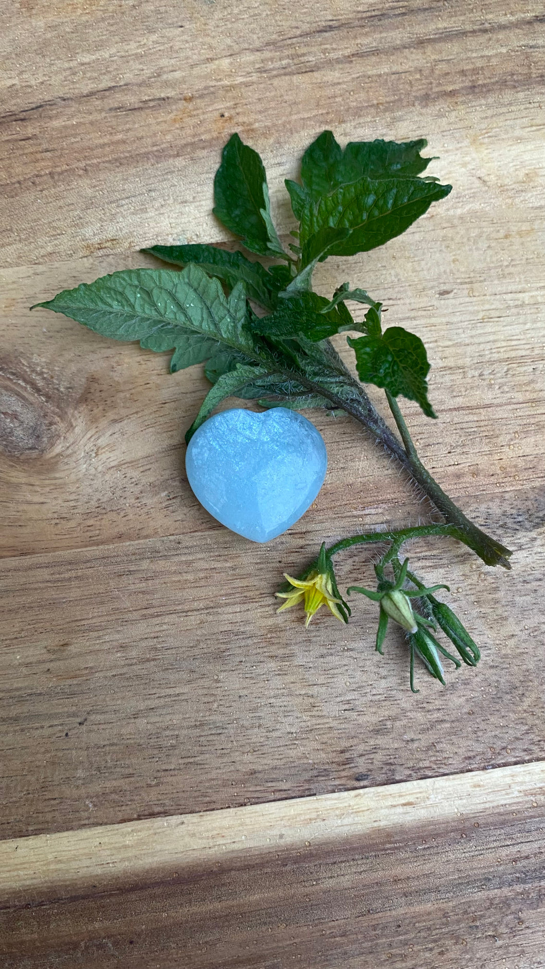 Aqua marine heart
